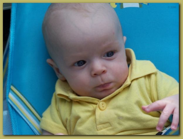 599x448 pixels (174K)